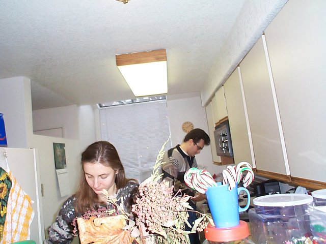 Party after Christmas at Eduard & Monica, 12/26/2000
(Click on the picture for the full-size version)