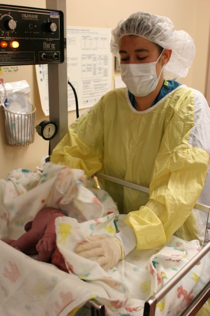 Vlad Theodore Constantin
(Click on the picture for the full-size version)