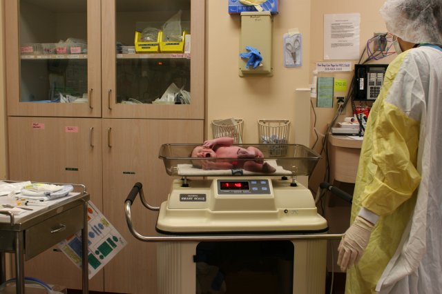 Vlad Theodore Constantin
(Click on the picture for the full-size version)