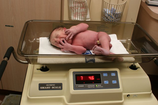 Vlad Theodore Constantin - I weight 7 lbs and 4.6 ounces
(Click on the picture for the full-size version)