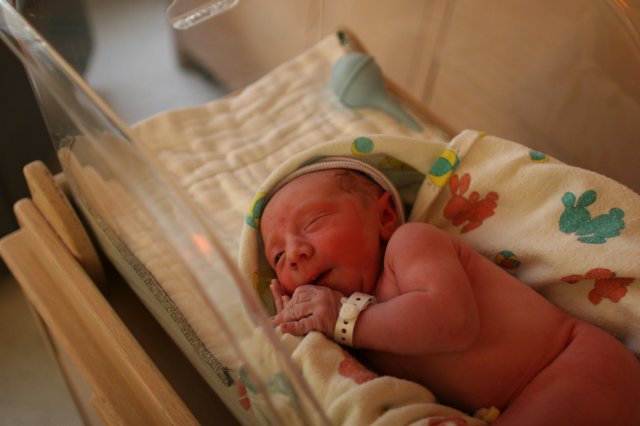 Vlad Theodore Constantin
(Click on the picture for the full-size version)