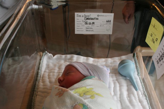 Vlad Theodore Constantin
(Click on the picture for the full-size version)