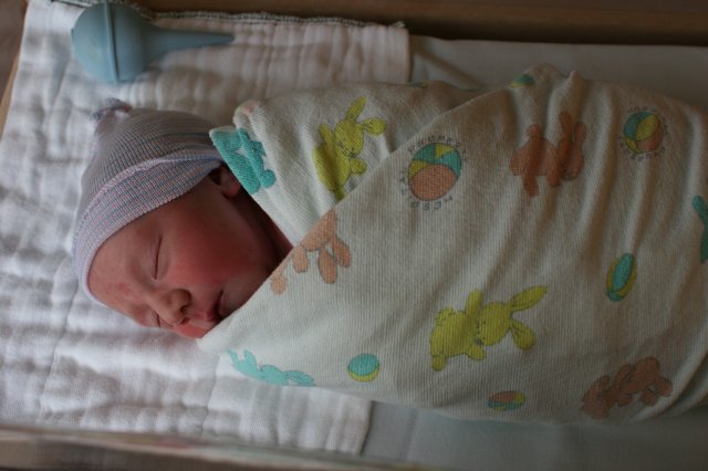 Vlad Theodore Constantin
(Click on the picture for the full-size version)