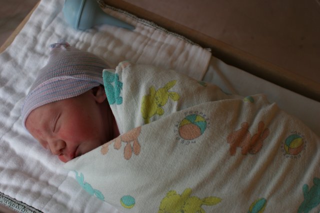 Vlad Theodore Constantin
(Click on the picture for the full-size version)