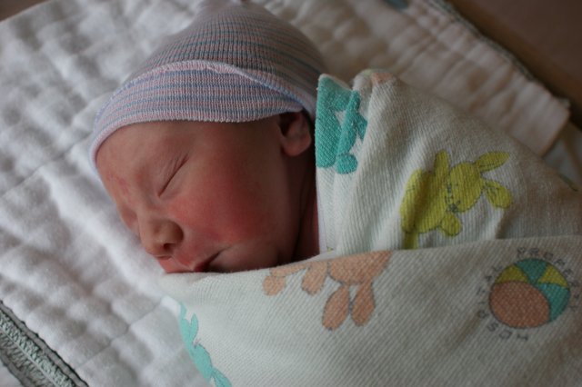 Vlad Theodore Constantin
(Click on the picture for the full-size version)