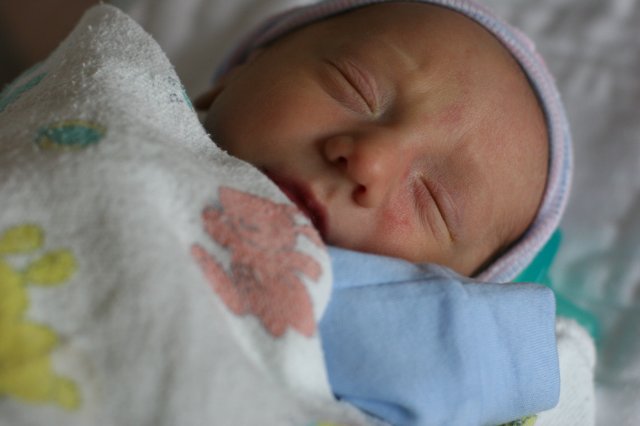 Vlad Theodore Constantin
(Click on the picture for the full-size version)
