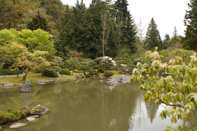 In Japanese Garden and Arboretum
(Click on the picture for the full-size version)