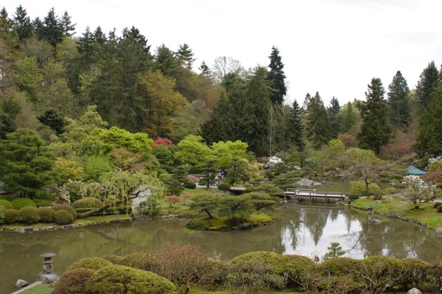 In Japanese Garden and Arboretum
(Click on the picture for the full-size version)