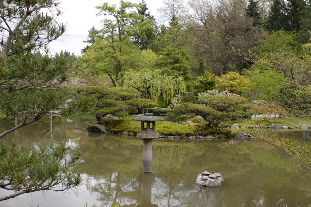 In Japanese Garden and Arboretum
(Click on the picture for the full-size version)