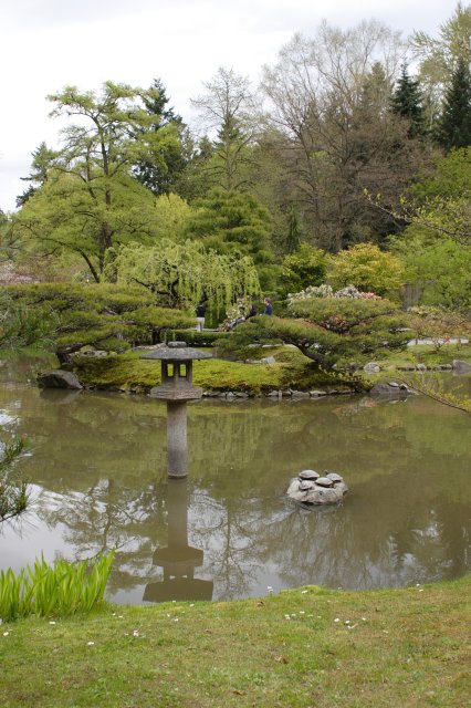In Japanese Garden and Arboretum
(Click on the picture for the full-size version)