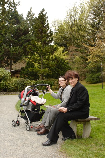 In Japanese Garden and Arboretum
(Click on the picture for the full-size version)