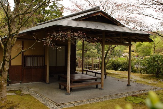 Alin Constantin's Photography - In Japanese Garden and Arboretum
(Click on the picture for the full-size version)