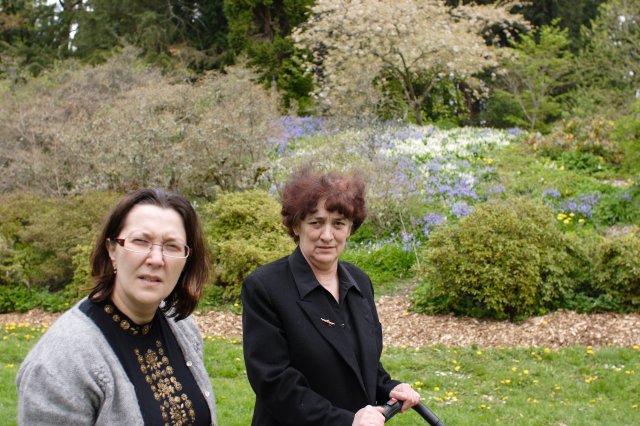 In Japanese Garden and Arboretum
(Click on the picture for the full-size version)