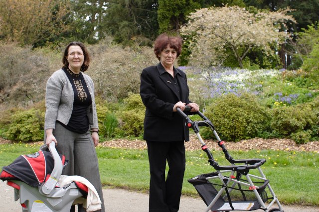 In Japanese Garden and Arboretum
(Click on the picture for the full-size version)