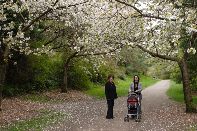 In Japanese Garden and Arboretum
(Click on the picture for the full-size version)