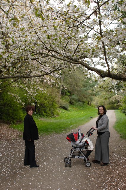 In Japanese Garden and Arboretum
(Click on the picture for the full-size version)