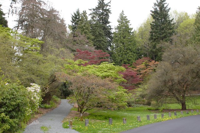 In Japanese Garden and Arboretum
(Click on the picture for the full-size version)