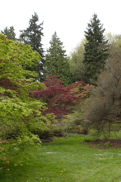 In Japanese Garden and Arboretum
(Click on the picture for the full-size version)