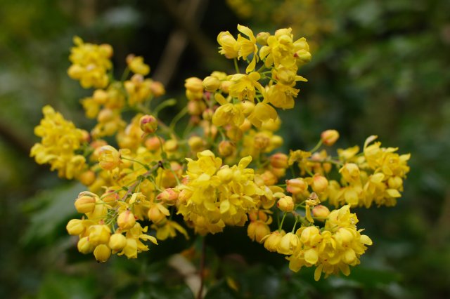 In Japanese Garden and Arboretum
(Click on the picture for the full-size version)