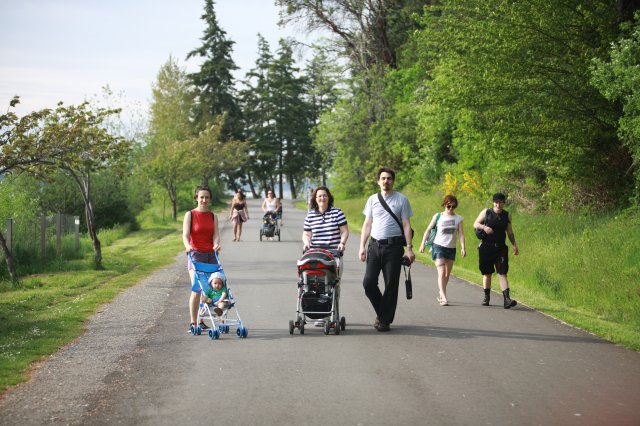 In Seward Park
(Click on the picture for the full-size version)