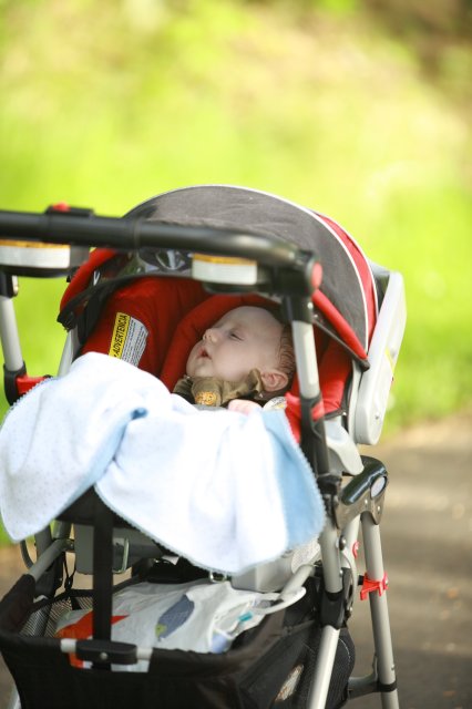 In Seward Park
(Click on the picture for the full-size version)