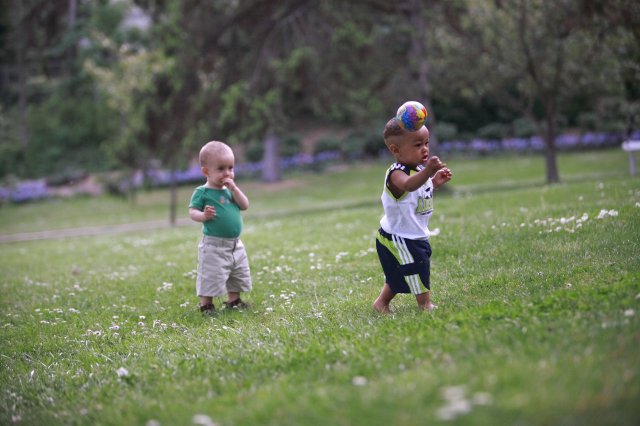 In Seward Park
(Click on the picture for the full-size version)