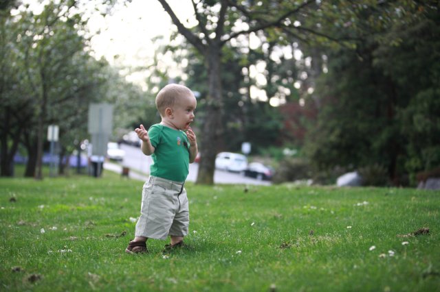 In Seward Park
(Click on the picture for the full-size version)