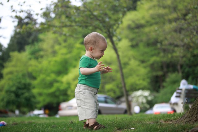 In Seward Park
(Click on the picture for the full-size version)