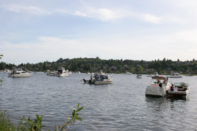 In Seward Park
(Click on the picture for the full-size version)