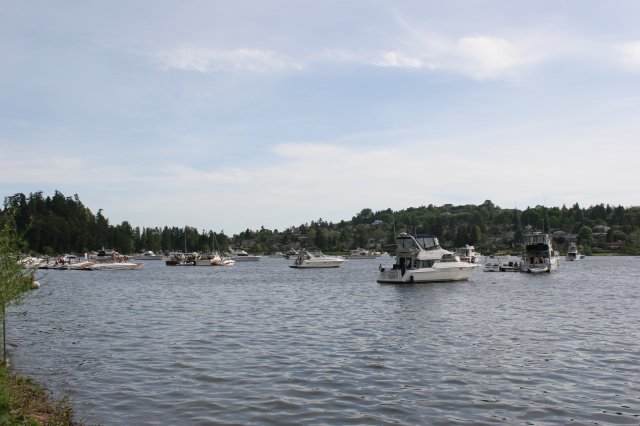 In Seward Park
(Click on the picture for the full-size version)