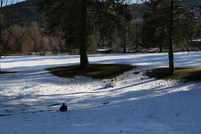 Christmas at Leavenworth, 2014
(Click on the picture for the full-size version)