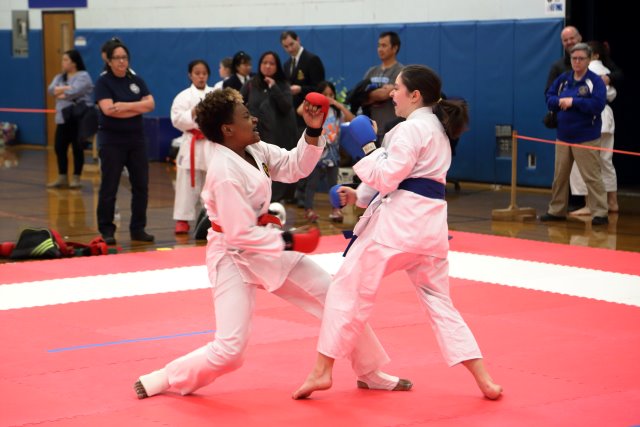 Vlad @ 2017 International Karate Championship, 5/13
(Click on the picture for the full-size version)