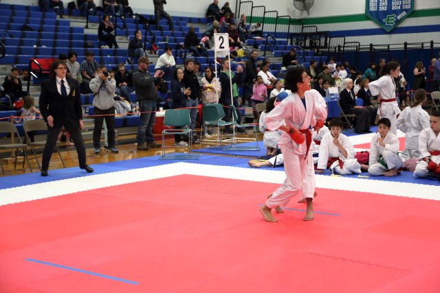 Vlad @ 2017 International Karate Championship, 5/13
(Click on the picture for the full-size version)