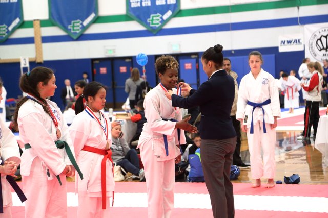 Vlad @ 2017 International Karate Championship, 5/13
(Click on the picture for the full-size version)