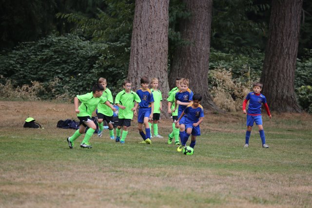 Alin Constantin's Photography - Vlad @ Ninja vs. Duvall FC soccer match
(Click on the picture for the full-size version)