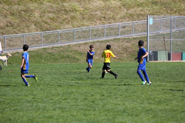 Vlad Soccer 9/23
(Click on the picture for the full-size version)