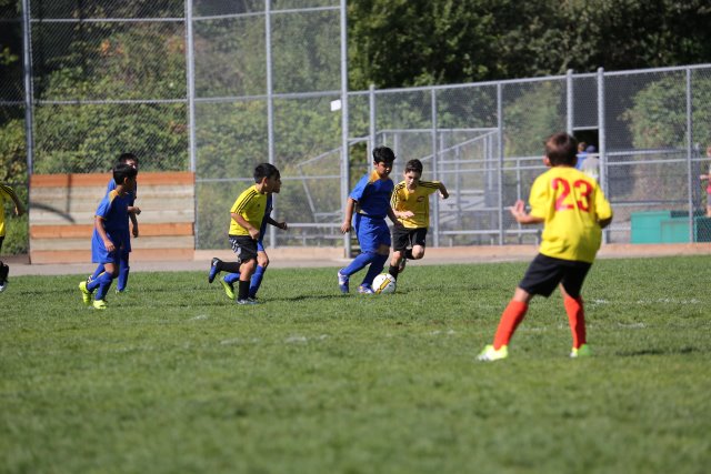 Vlad Soccer 9/23
(Click on the picture for the full-size version)