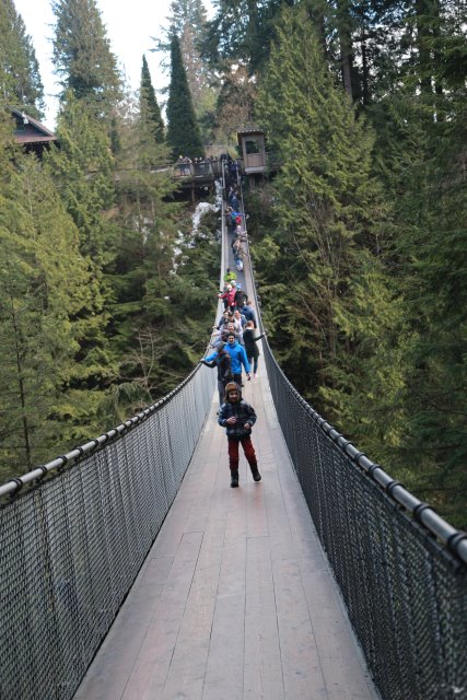 Capilano suspension bridge, 2/24
(Click on the picture for the full-size version)