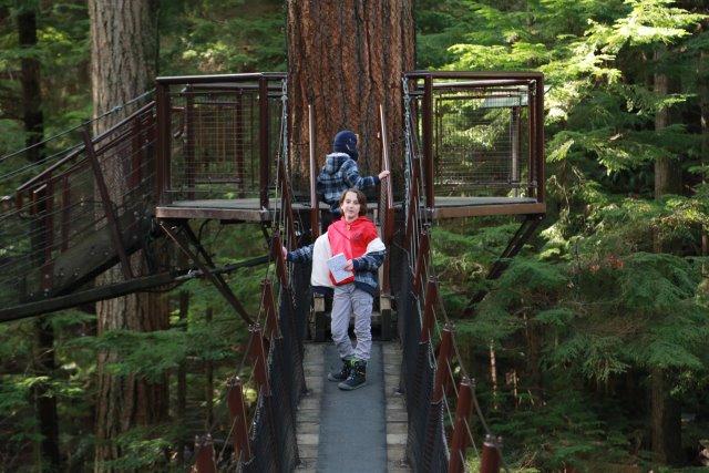 Capilano suspension bridge, 2/24
(Click on the picture for the full-size version)