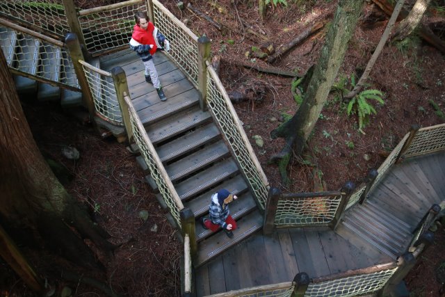 Capilano suspension bridge, 2/24
(Click on the picture for the full-size version)