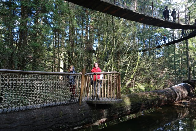 Capilano suspension bridge, 2/24
(Click on the picture for the full-size version)