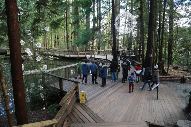 Capilano suspension bridge, 2/24
(Click on the picture for the full-size version)