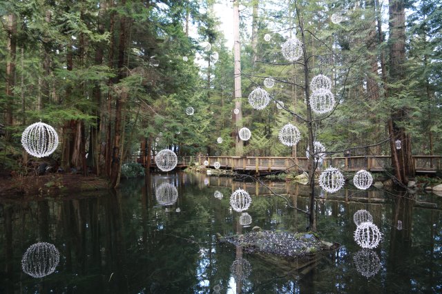 Capilano suspension bridge, 2/24
(Click on the picture for the full-size version)