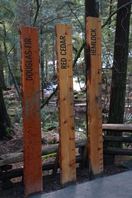 Capilano suspension bridge, 2/24
(Click on the picture for the full-size version)