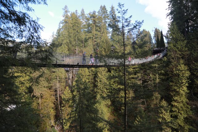 Capilano suspension bridge, 2/24
(Click on the picture for the full-size version)