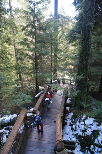 Capilano suspension bridge, 2/24
(Click on the picture for the full-size version)