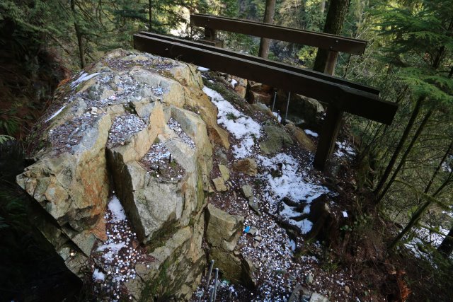 Capilano suspension bridge, 2/24
(Click on the picture for the full-size version)