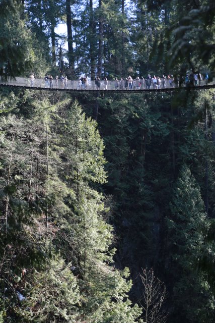Capilano suspension bridge, 2/24
(Click on the picture for the full-size version)