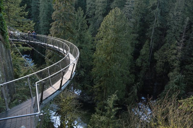 Capilano suspension bridge, 2/24
(Click on the picture for the full-size version)