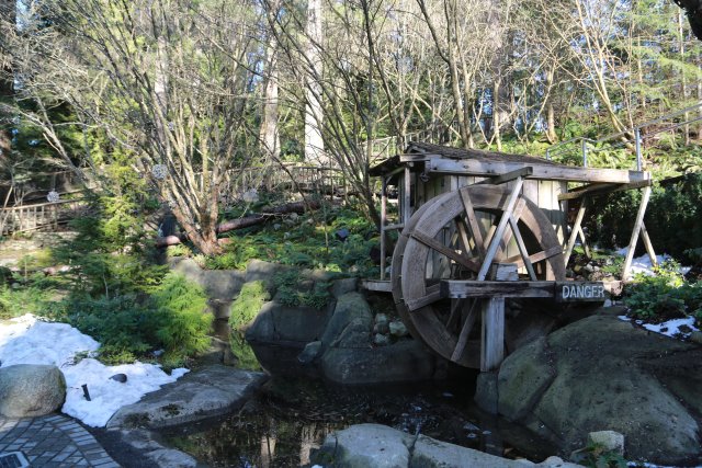 Capilano suspension bridge, 2/24
(Click on the picture for the full-size version)